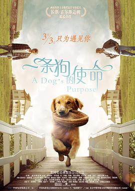 8488电视剧免费播放在线观看