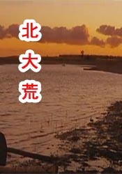 五月天婷婷在线视频