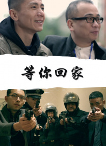 久久99精品久久久久久综合