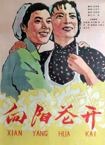 污视频下载