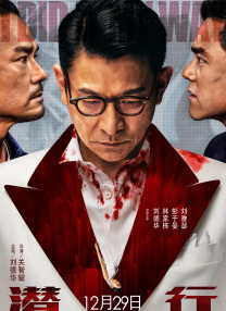 不卡视频一区