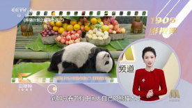 闫凤娇 bt