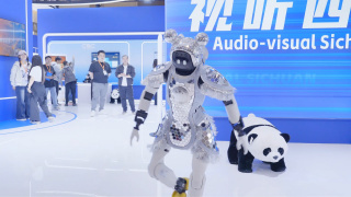 中文国产成人精品久久一